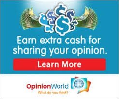 earn cash opinion world surveys