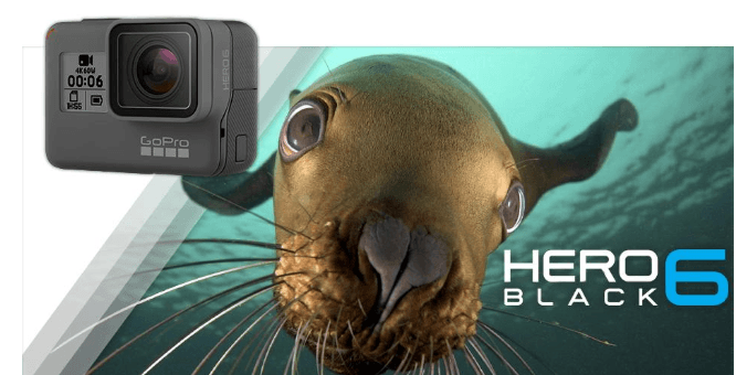 win a go pro hero 6 free