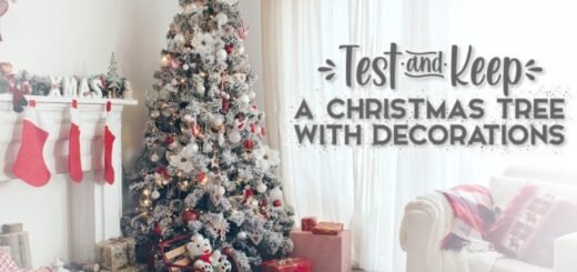Win a decorated christmas tree
