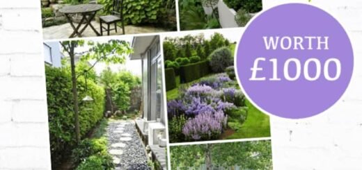 WIN A GARDEN RENOVATION WORTH £1000