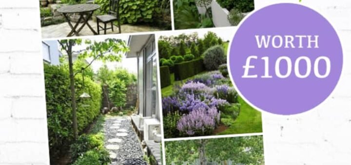 WIN A GARDEN RENOVATION WORTH £1000