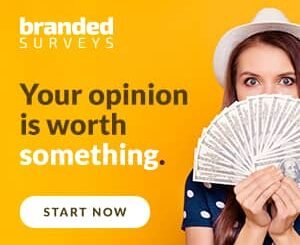 Branded surveys